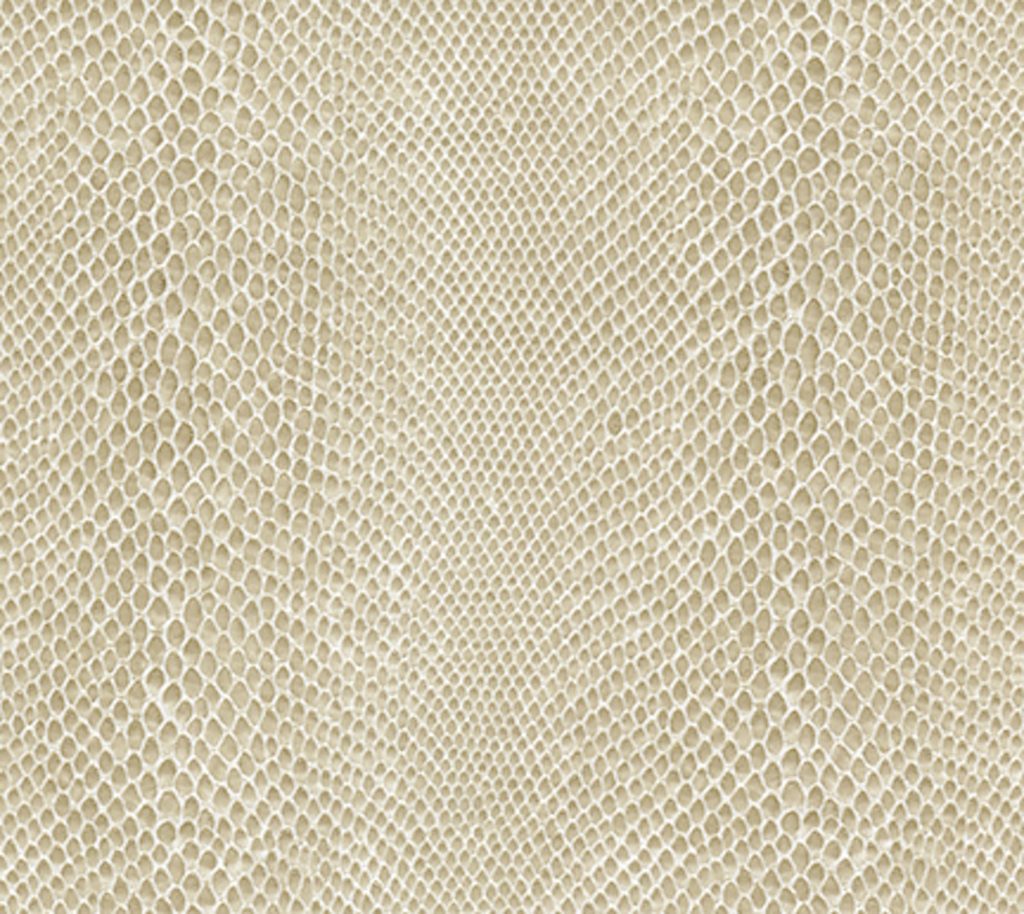 Climbing - Limestone Wallcovering | Phillipe Romano