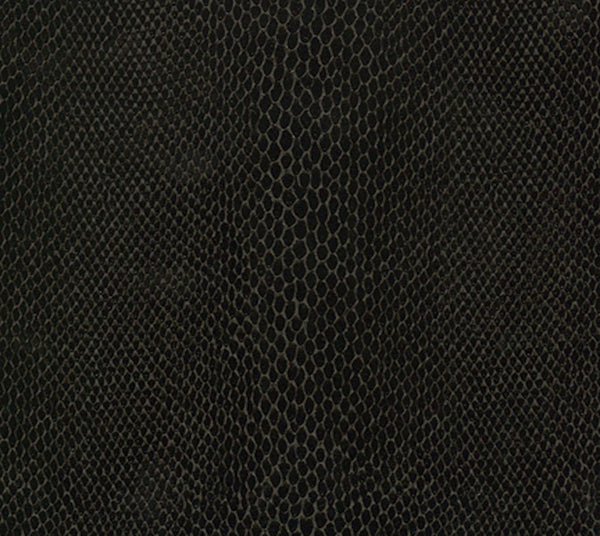 Climbing - Nocturnal | Commercial Fabric | Los Angeles Fabrics