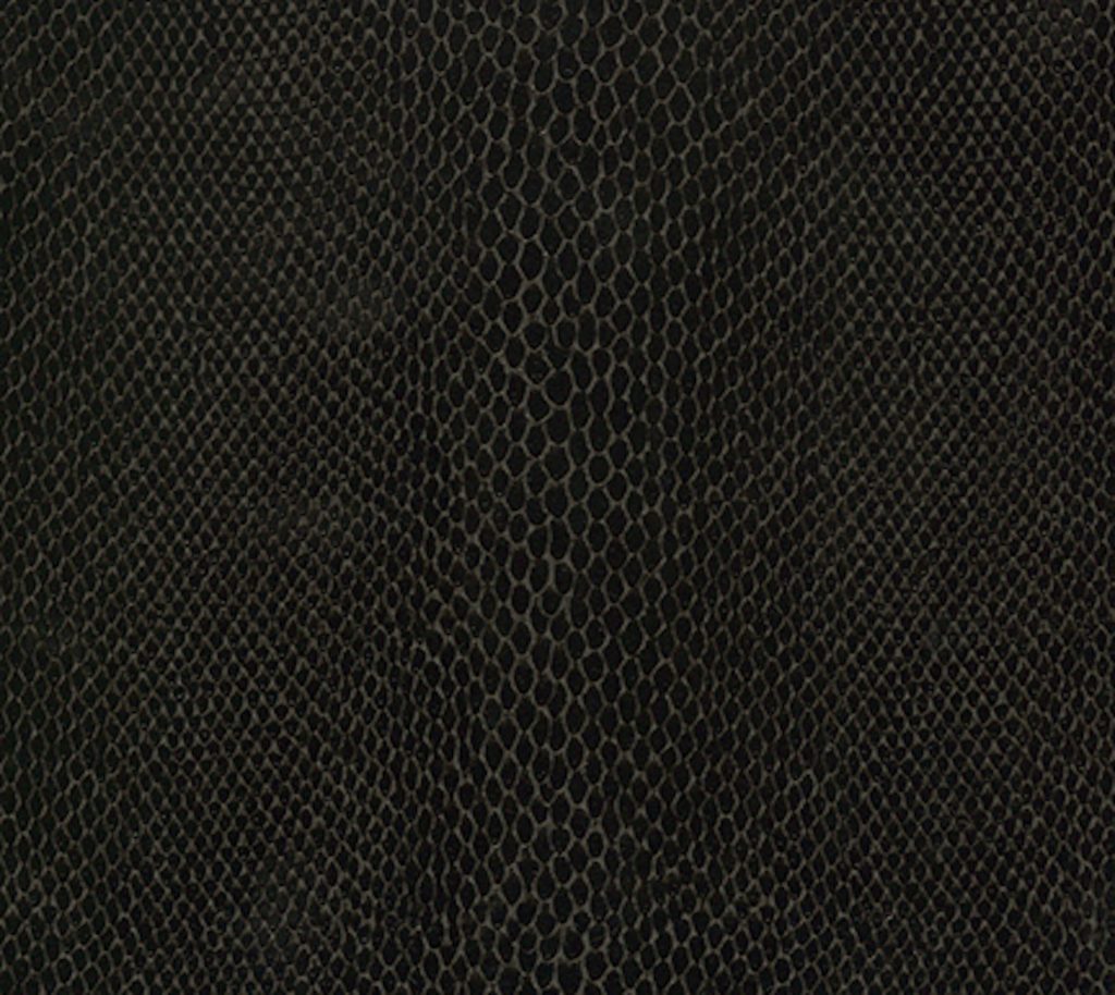 Climbing - Nocturnal Wallcovering | Phillipe Romano