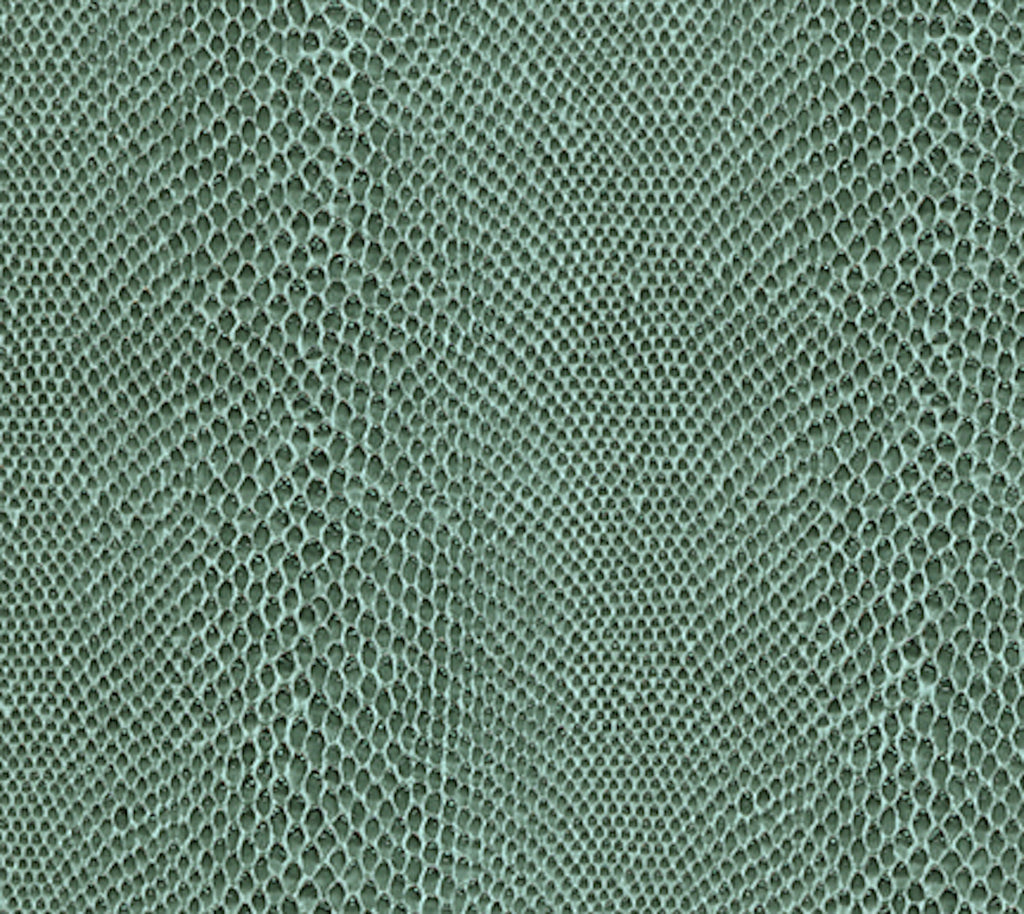 Climbing Wallcovering | Phillipe Romano