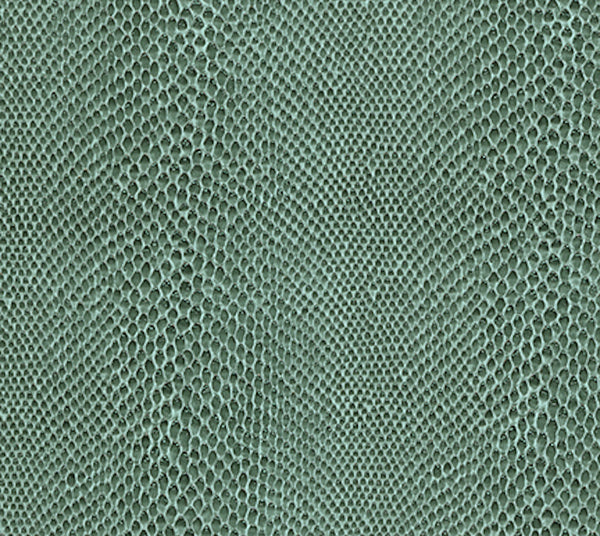 Climbing - Conch | Commercial Fabric | Los Angeles Fabrics
