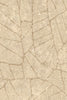 Fragment beige | arte - Image 5