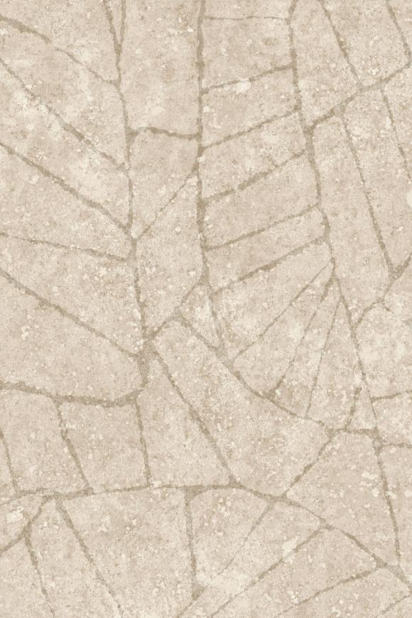 Fragment - Dove - Image 5