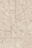 Fragment - Dove - Image 5