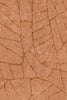 Fragment terracotta | arte