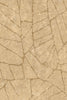 Fragment beige | arte - Image 5