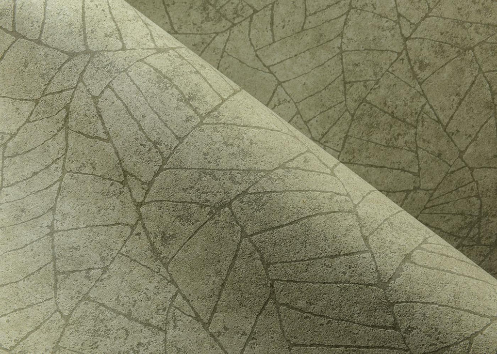 Fragment - beige - Image 5