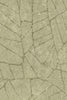 Fragment - Absinthe - Image 5