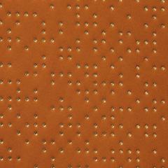 Analog - Terracotta