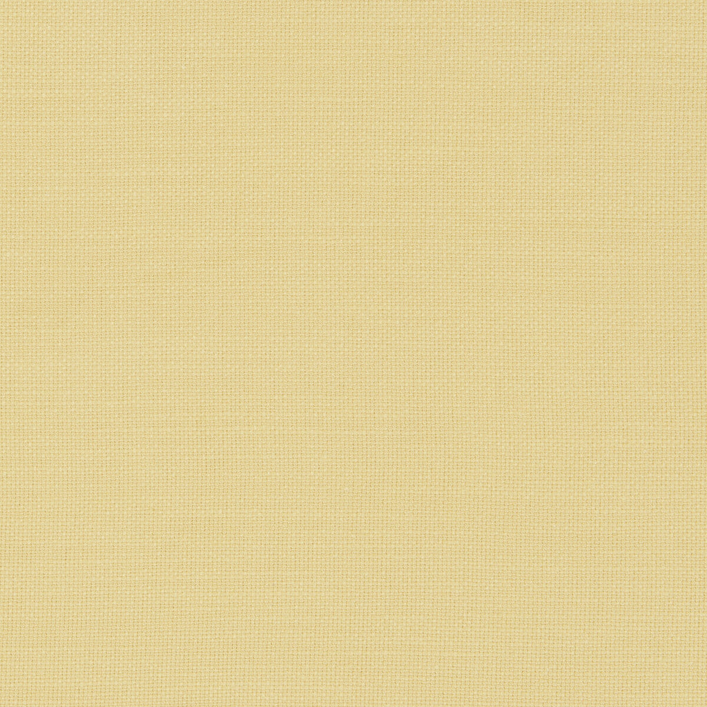 Samples and Purchasing available for Nantucket - Corn  By Clarke And Clarke | Clarke & Clarke Nantucket |Solid Texture Multipurpose Cotton at Designer Wallcoverings and Fabrics