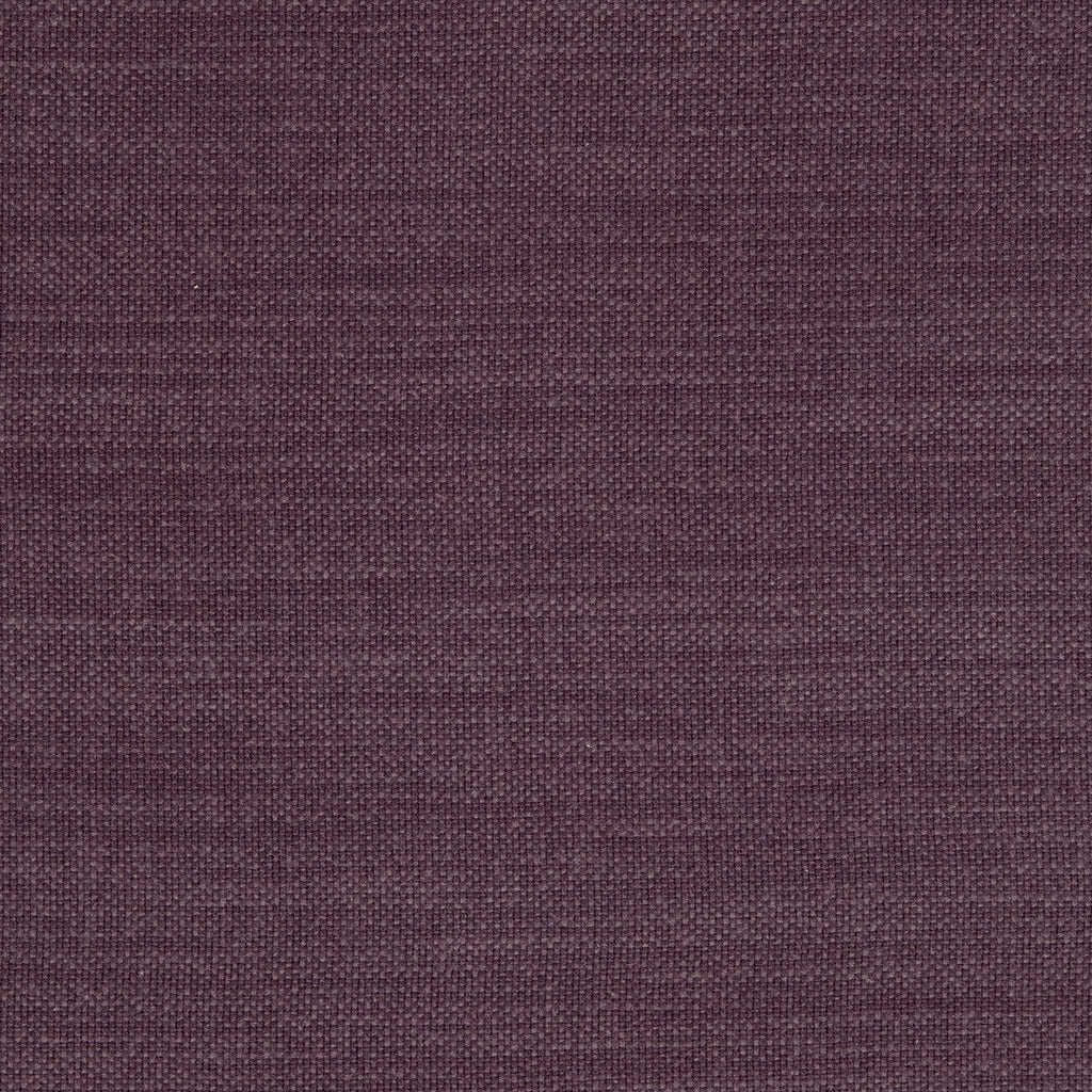 Samples and Purchasing available for Nantucket - Grape  By Clarke And Clarke | Clarke & Clarke Nantucket |Solid Texture Multipurpose Cotton at Designer Wallcoverings and Fabrics
