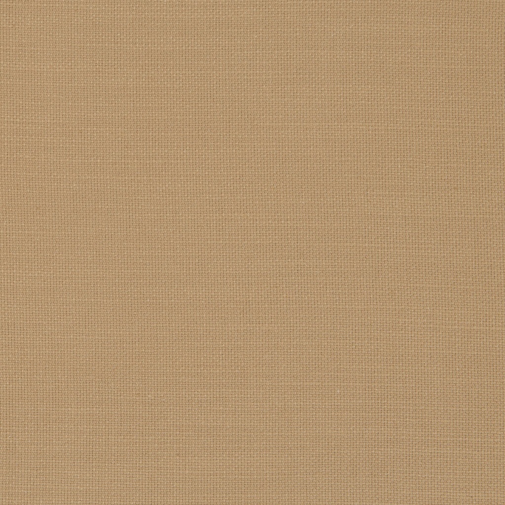 Samples and Purchasing available for Nantucket - Honey  By Clarke And Clarke | Clarke & Clarke Nantucket |Solid Texture Multipurpose Cotton at Designer Wallcoverings and Fabrics