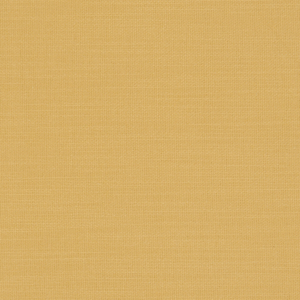 Samples and Purchasing available for Nantucket - Sunflower  By Clarke And Clarke | Clarke & Clarke Nantucket |Solid Texture Multipurpose Cotton at Designer Wallcoverings and Fabrics