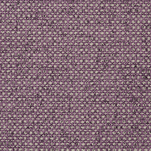 Casanova - Orchid  By Clarke And Clarke | Clarke & Clarke Casanova |Solid Texture Multipurpose Chenille