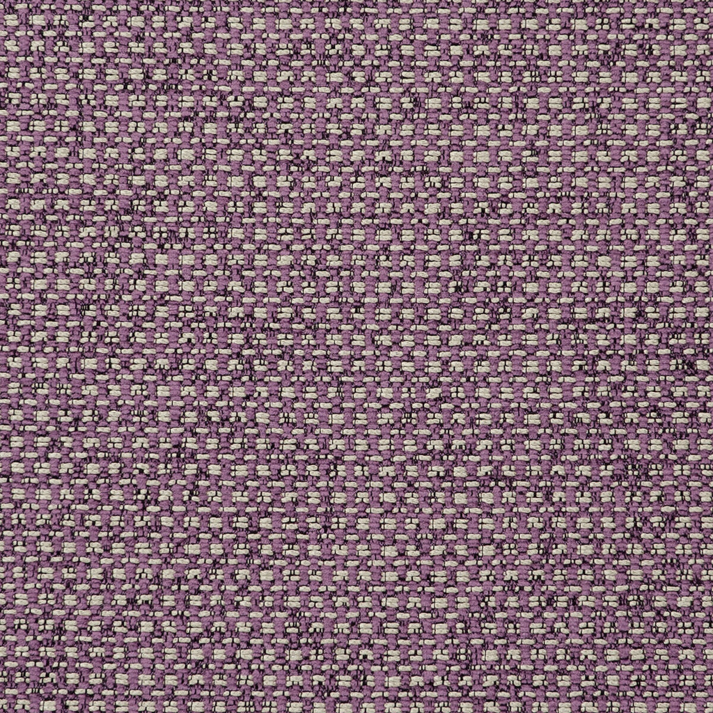 Samples and Purchasing available for Casanova - Orchid  By Clarke And Clarke | Clarke & Clarke Casanova |Solid Texture Multipurpose Chenille at Designer Wallcoverings and Fabrics