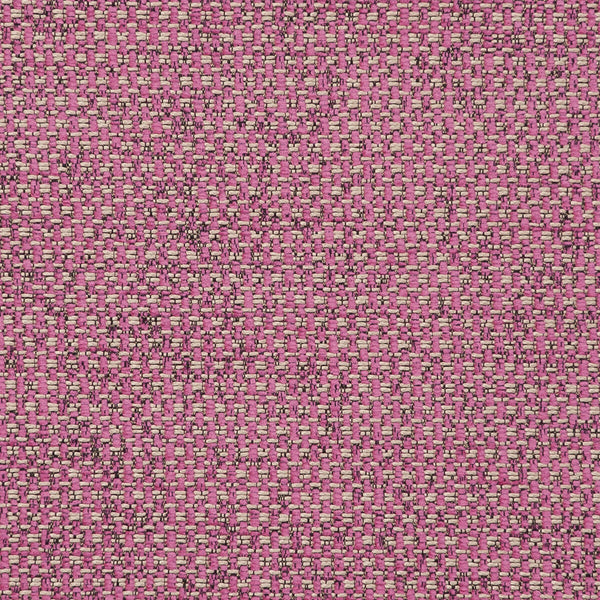 Casanova - Sorbet  By Clarke And Clarke | Clarke & Clarke Casanova |Solid Texture Multipurpose Chenille