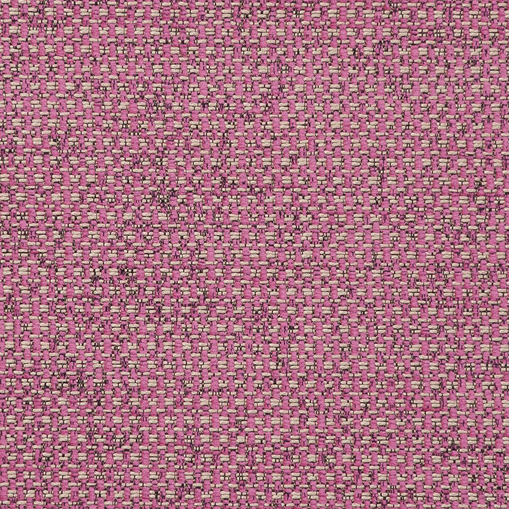 Samples and Purchasing available for Casanova - Sorbet  By Clarke And Clarke | Clarke & Clarke Casanova |Solid Texture Multipurpose Chenille at Designer Wallcoverings and Fabrics