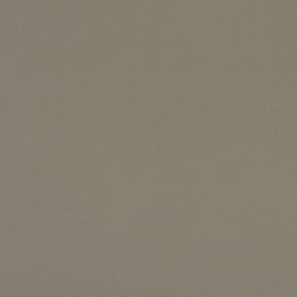 Alvar - Taupe  By Clarke And Clarke | Clarke & Clarke Alvar |Solid Texture Multipurpose Velvet
