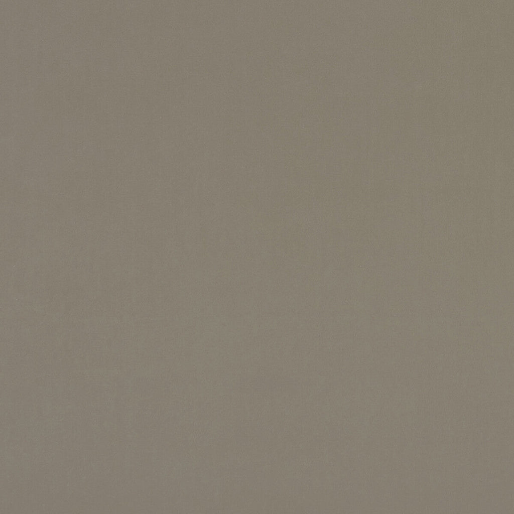 Samples and Purchasing available for Alvar - Taupe  By Clarke And Clarke | Clarke & Clarke Alvar |Solid Texture Multipurpose Velvet at Designer Wallcoverings and Fabrics