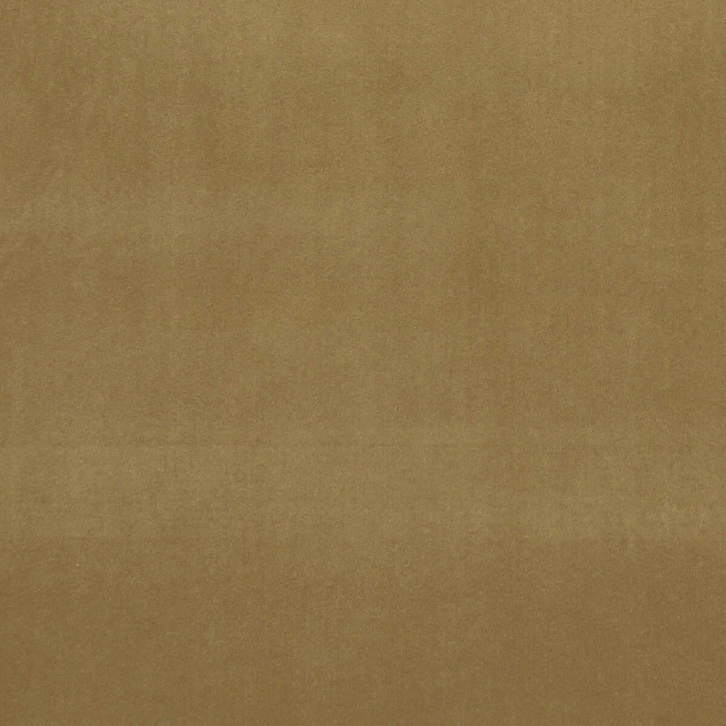 Samples and Purchasing available for Alvar - Antique  By Clarke And Clarke | Clarke & Clarke Alvar |Solid Texture Multipurpose Velvet at Designer Wallcoverings and Fabrics