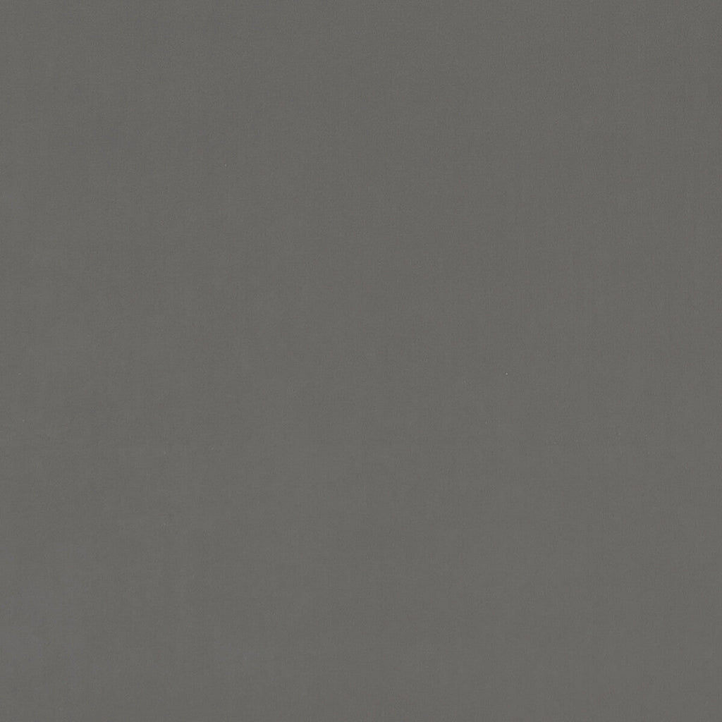 Samples and Purchasing available for Alvar - Ash  By Clarke And Clarke | Clarke & Clarke Alvar |Solid Texture Multipurpose Velvet at Designer Wallcoverings and Fabrics