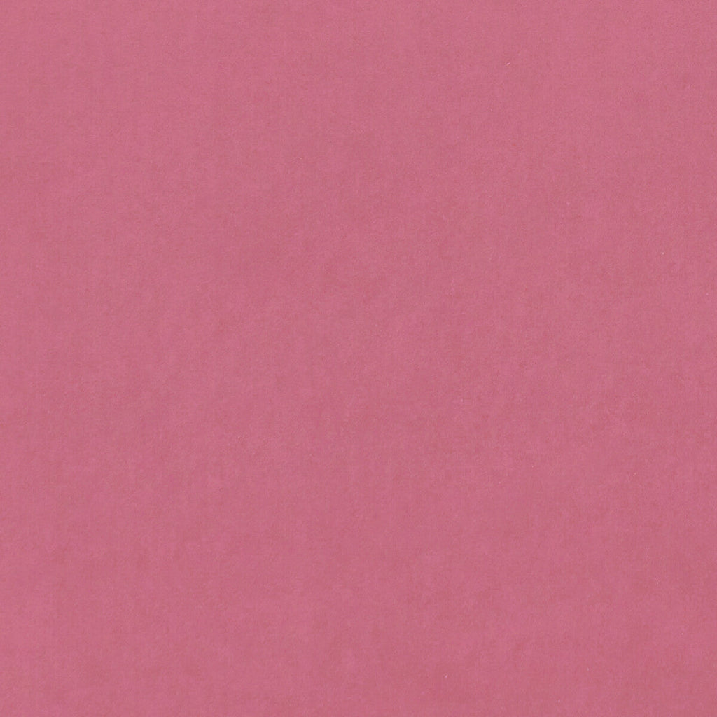 Samples and Purchasing available for Alvar - Candy  By Clarke And Clarke | Clarke & Clarke Alvar |Solid Texture Multipurpose Velvet at Designer Wallcoverings and Fabrics