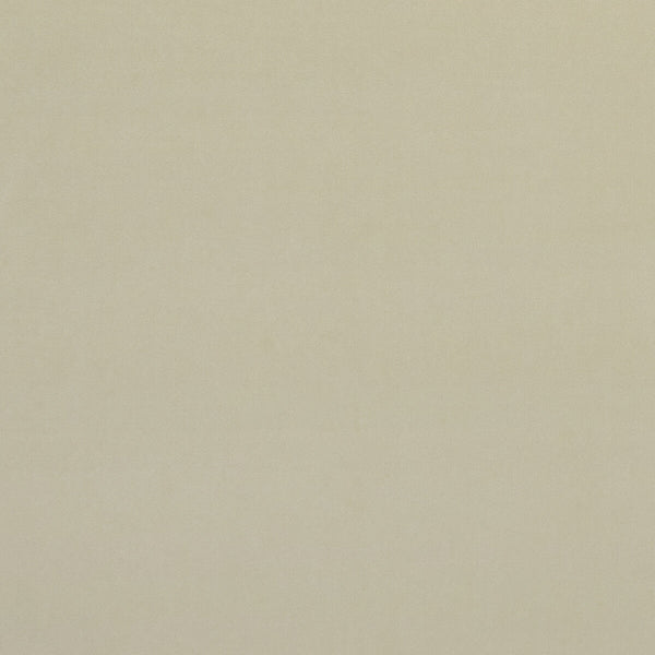 Alvar - Cream  By Clarke And Clarke | Clarke & Clarke Alvar |Solid Texture Multipurpose Velvet