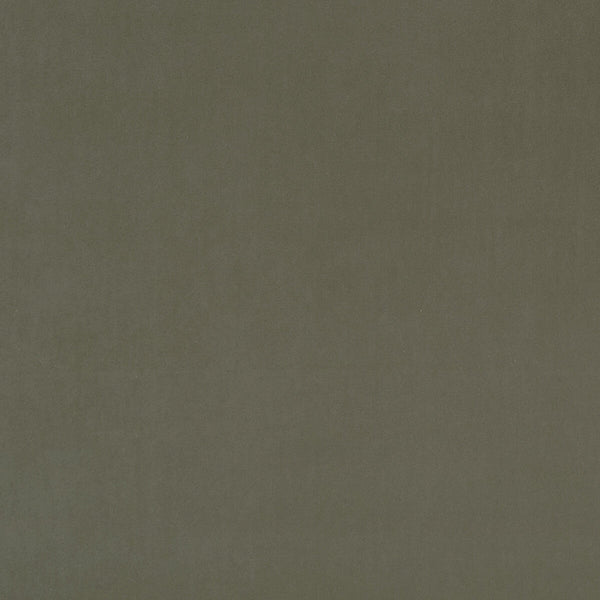 Alvar - Sage  By Clarke And Clarke | Clarke & Clarke Alvar |Solid Texture Multipurpose Velvet
