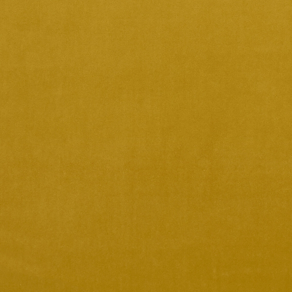 Samples and Purchasing available for Alvar - Honey  By Clarke And Clarke | Clarke & Clarke Alvar 2 | Solid Upholstery  at Designer Wallcoverings and Fabrics
