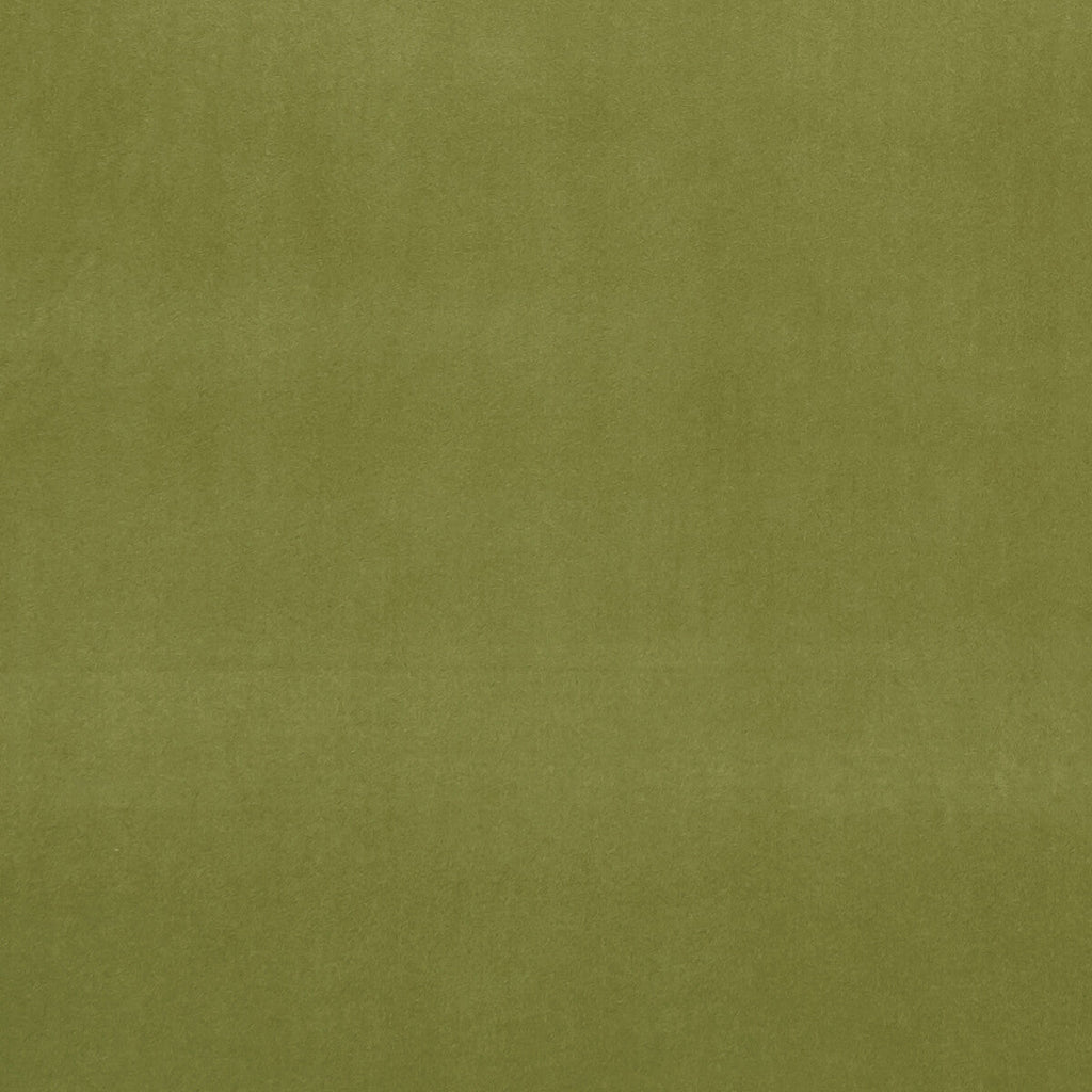 Samples and Purchasing available for Alvar - Leaf  By Clarke And Clarke | Clarke & Clarke Alvar 2 | Solid Upholstery  at Designer Wallcoverings and Fabrics