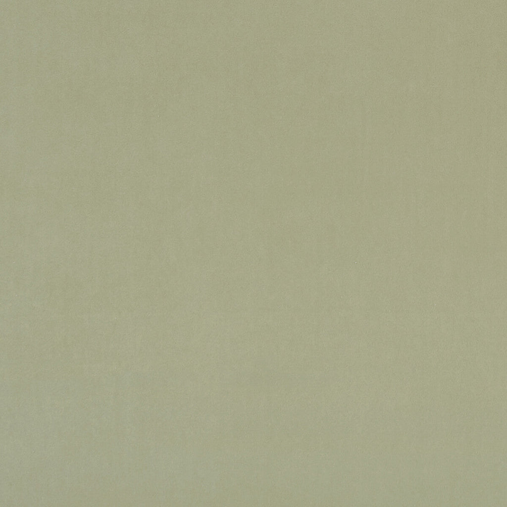 Samples and Purchasing available for Alvar - Thyme  By Clarke And Clarke | Clarke & Clarke Alvar 2 | Solid Upholstery  at Designer Wallcoverings and Fabrics