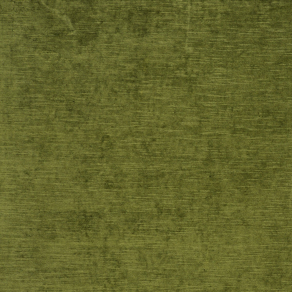Carlo - Olive  By Clarke And Clarke | Clarke & Clarke Palladio |Solid Texture Multipurpose Chenille