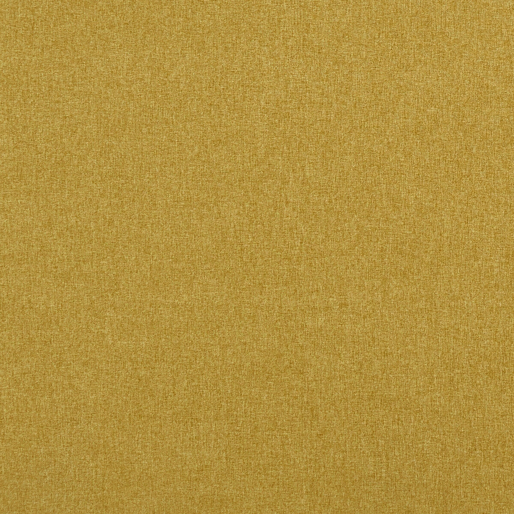Samples and Purchasing available for Highlander - Gold  By Clarke And Clarke | Clarke & Clarke Highlander |Solid Texture Multipurpose  at Designer Wallcoverings and Fabrics