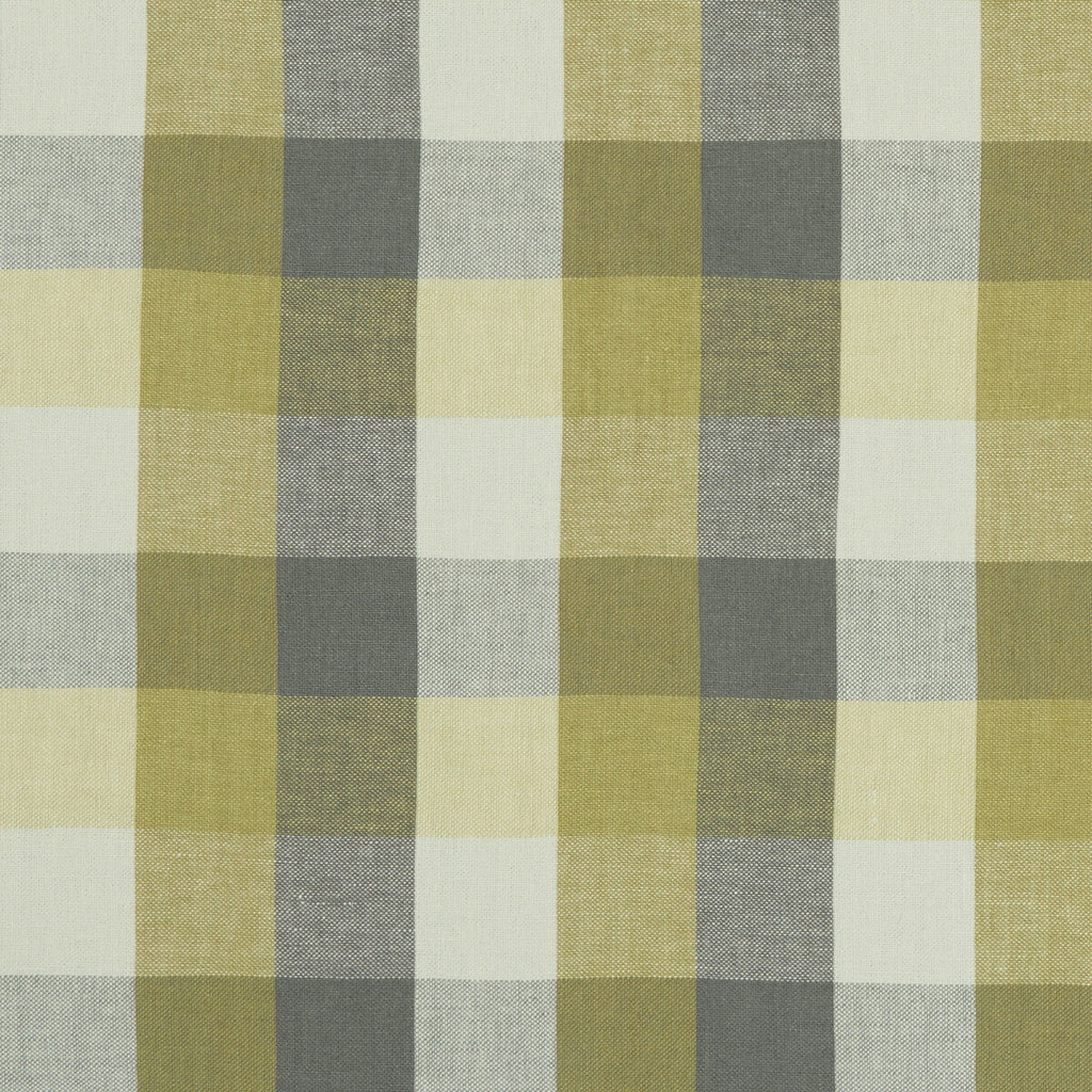 Samples and Purchasing available for Austin Check - Citron/Natural  By Clarke And Clarke | Clarke & Clarke Castle Garden |  Multipurpose Weave at Designer Wallcoverings and Fabrics