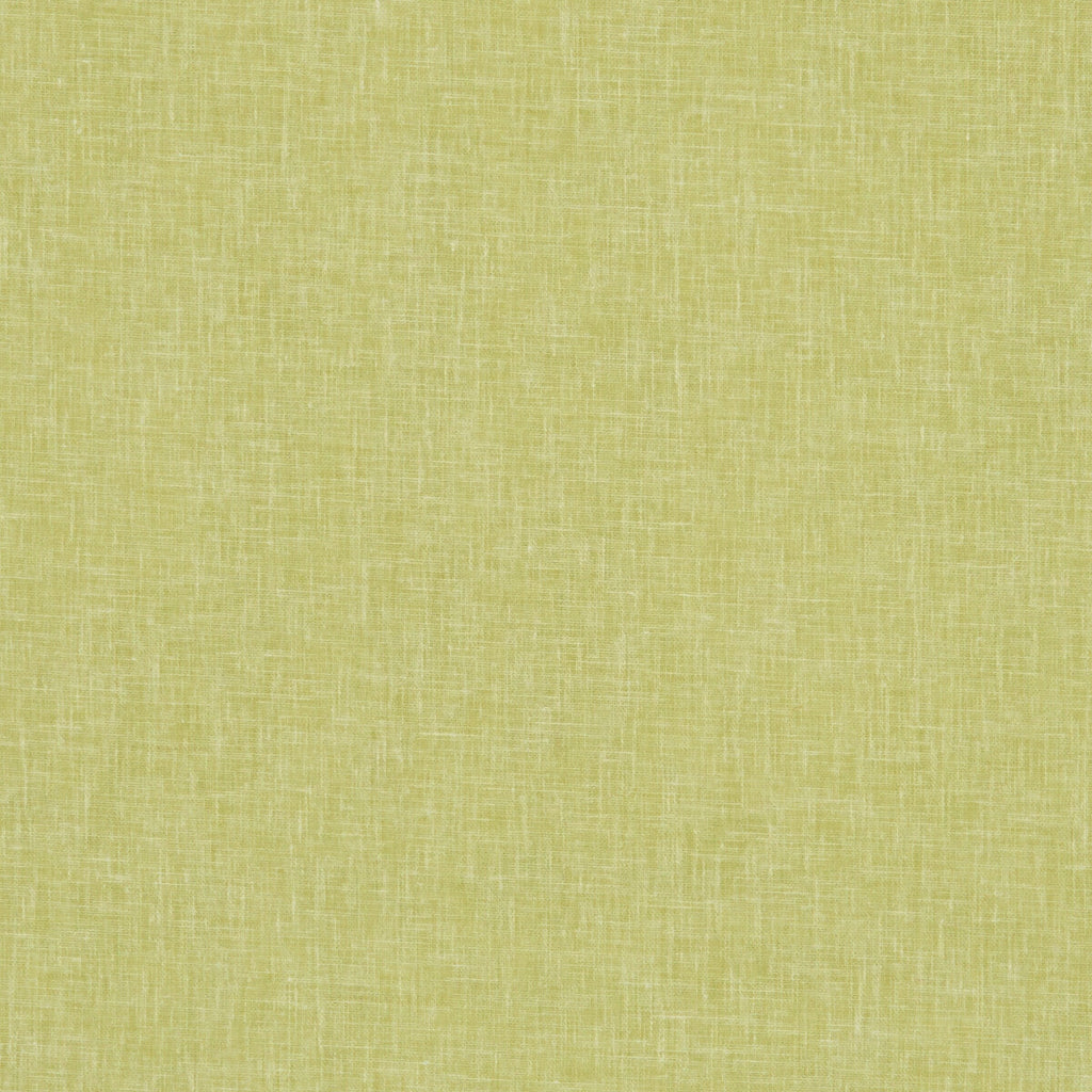 Samples and Purchasing available for Midori - Citron  By Clarke And Clarke | Clarke & Clarke Midori | Solid Drapery Sheer at Designer Wallcoverings and Fabrics