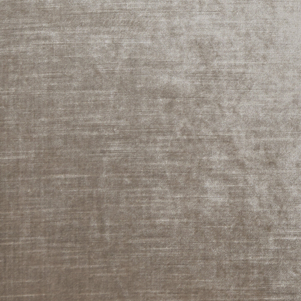 Samples and Purchasing available for Allure - Dove  By Clarke And Clarke | Clarke & Clarke Allure |Solid Texture Multipurpose Velvet at Designer Wallcoverings and Fabrics