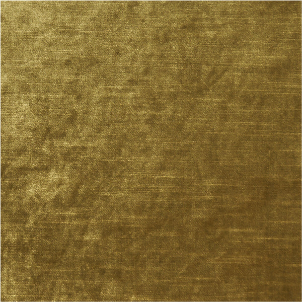 Allure - Gold  By Clarke And Clarke | Clarke & Clarke Allure |Solid Texture Multipurpose Velvet