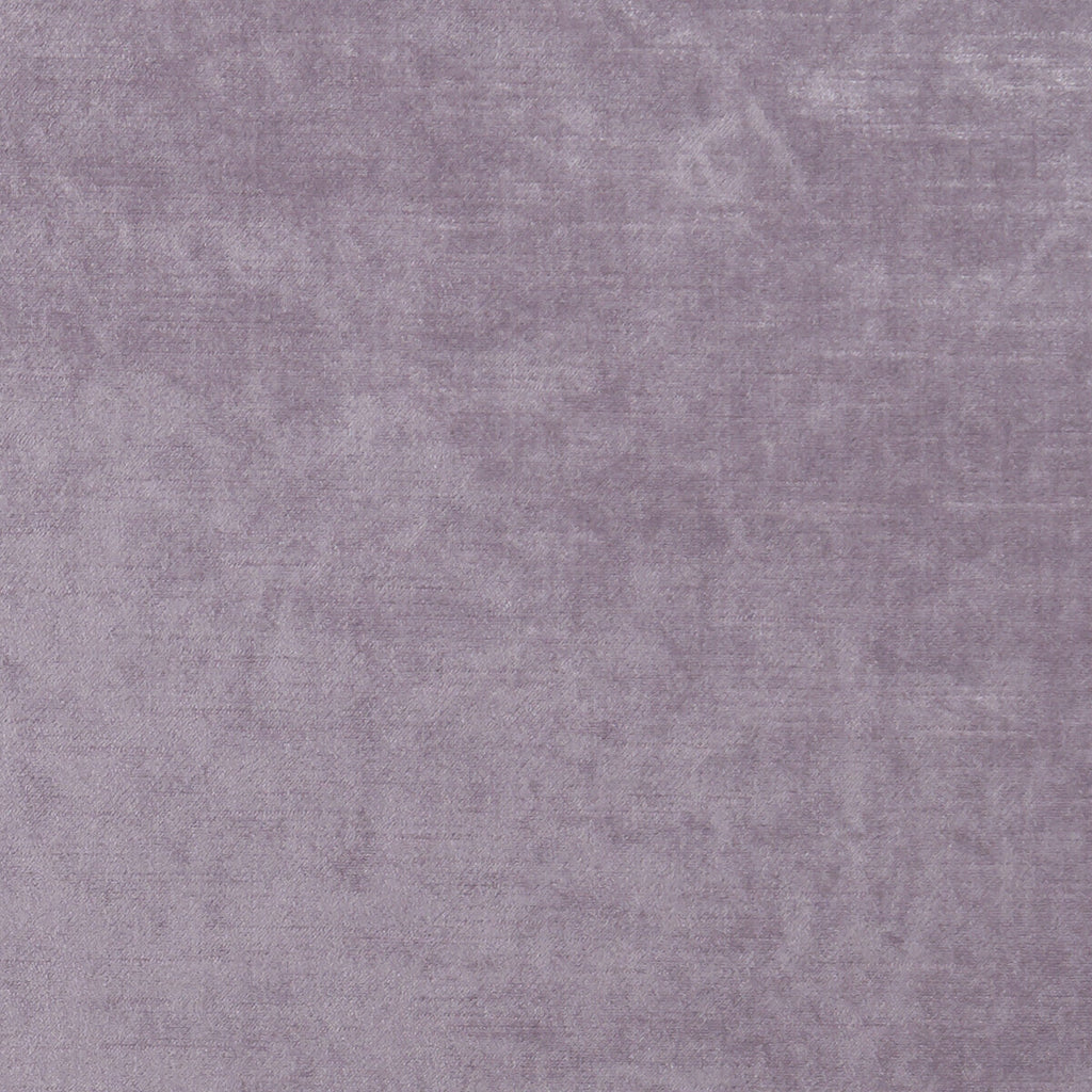 Samples and Purchasing available for Allure - Heather  By Clarke And Clarke | Clarke & Clarke Allure |Solid Texture Multipurpose Velvet at Designer Wallcoverings and Fabrics