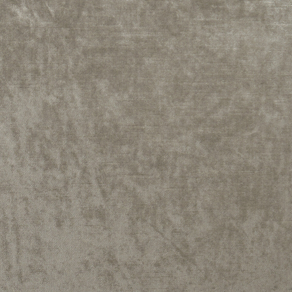 Samples and Purchasing available for Allure - Taupe  By Clarke And Clarke | Clarke & Clarke Allure |Solid Texture Multipurpose Velvet at Designer Wallcoverings and Fabrics