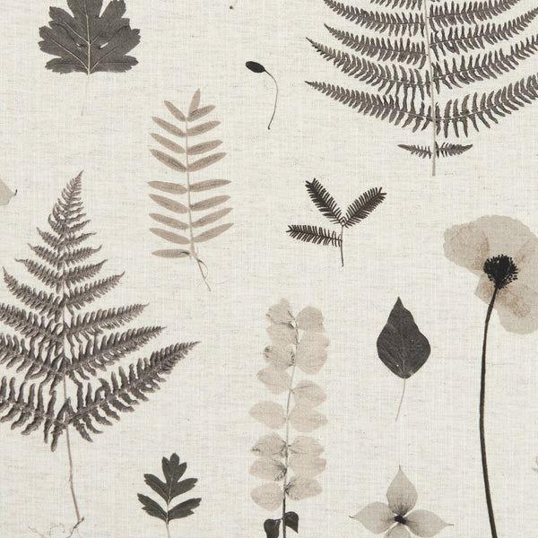 Herbarium - Charcoal/Natural  By Clarke And Clarke | Clarke & Clarke Botanica |  Multipurpose Weave