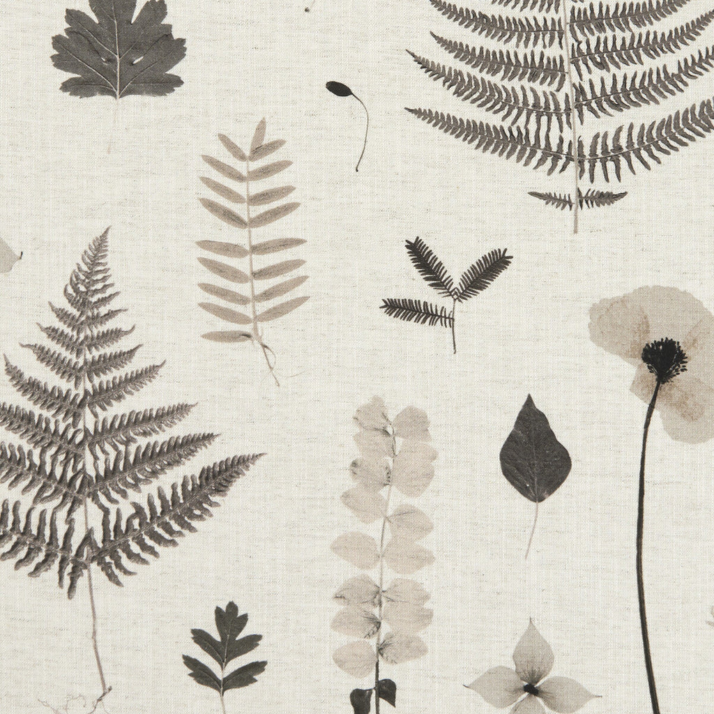 Samples and Purchasing available for Herbarium - Charcoal/Natural  By Clarke And Clarke | Clarke & Clarke Botanica |  Multipurpose Weave at Designer Wallcoverings and Fabrics
