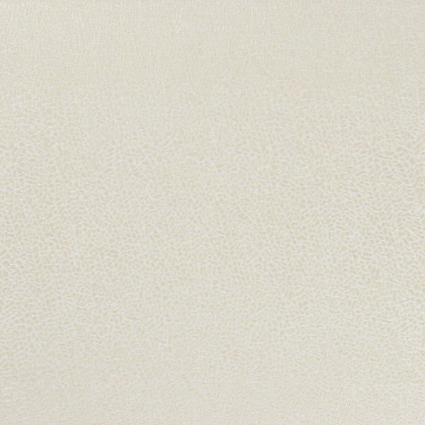 Isla - Ivory/Gilver  By Clarke And Clarke | Clarke & Clarke Botanica |  Multipurpose Weave