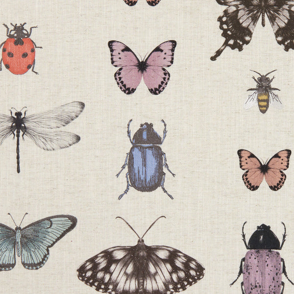 Papilio - Blush/Natural  By Clarke And Clarke | Clarke & Clarke Botanica |  Multipurpose Weave
