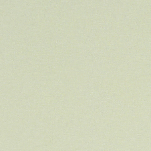 Alora - Celadon  By Clarke And Clarke | Alora By Studio G For C&C | Solid Multipurpose