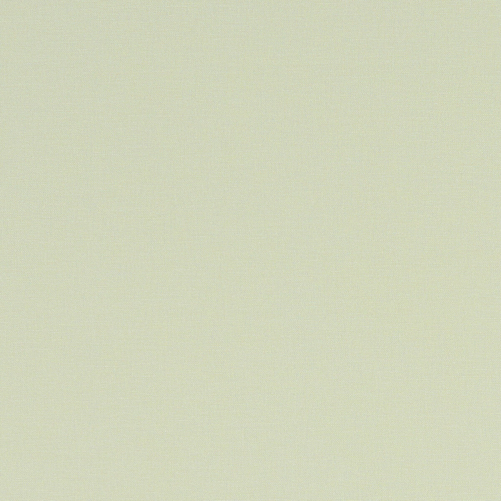 Samples and Purchasing available for Alora - Celadon  By Clarke And Clarke | Alora By Studio G For C&C | Solid Multipurpose  at Designer Wallcoverings and Fabrics
