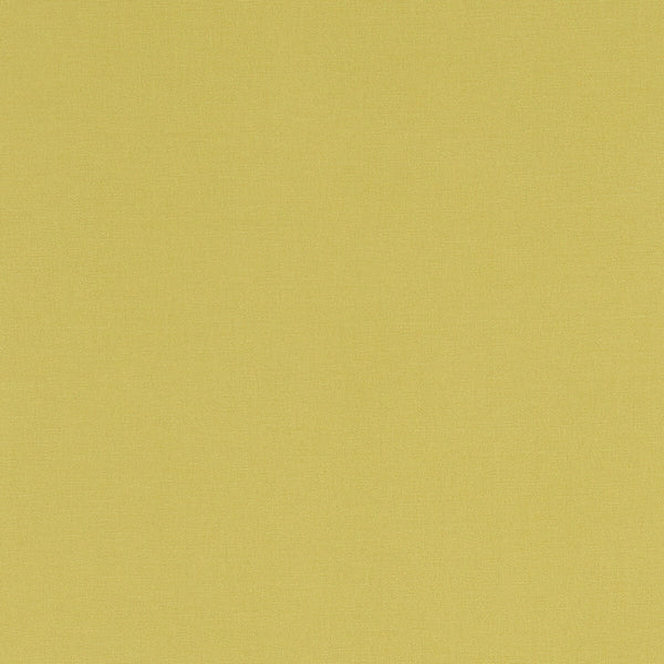 Alora - Celery  By Clarke And Clarke | Alora By Studio G For C&C | Solid Multipurpose
