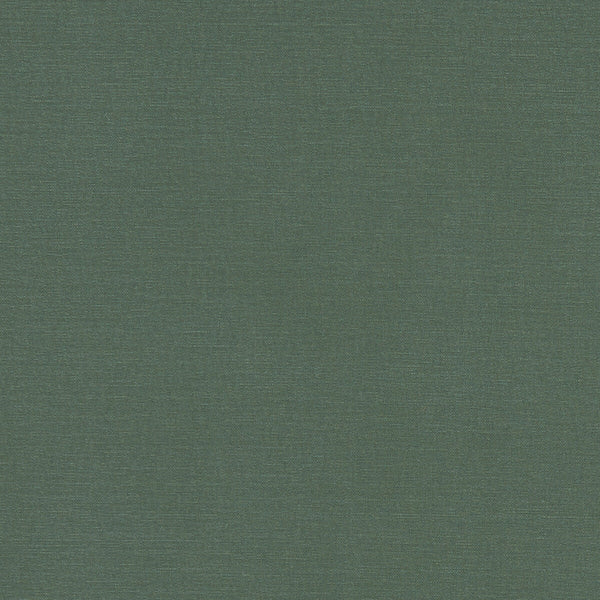 Alora - Forest  By Clarke And Clarke | Alora By Studio G For C&C | Solid Multipurpose