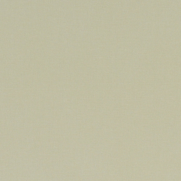 Alora - Hemp  By Clarke And Clarke | Alora By Studio G For C&C | Solid Multipurpose