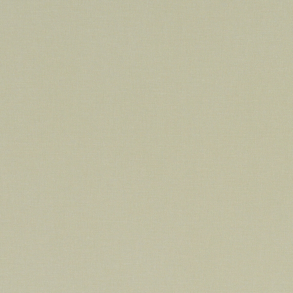 Samples and Purchasing available for Alora - Hemp  By Clarke And Clarke | Alora By Studio G For C&C | Solid Multipurpose  at Designer Wallcoverings and Fabrics