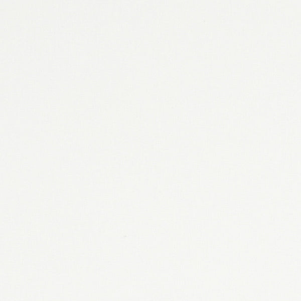 Alora - Ivory  By Clarke And Clarke | Alora By Studio G For C&C | Solid Multipurpose
